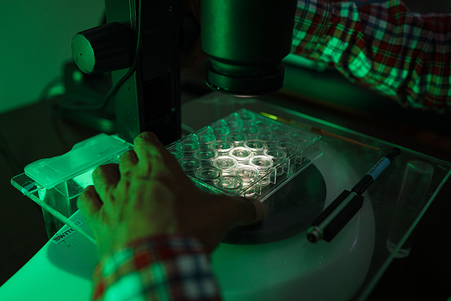 X-Ray Crystallography Facility